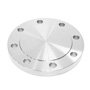 Nickel Alloy 200 BLRF Flange