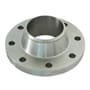 Stainless Steel Weld Neck Flanges