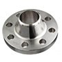 Nickel Alloy 200 WNRF Flange
