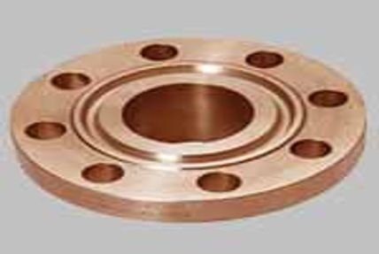 Ring Type Joint Flanges
